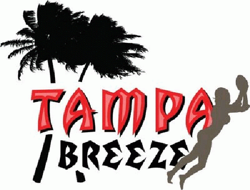 tampa breeze 2008-pres primary logo iron on transfers for T-shirts
